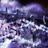 Cropped_68_rebecca_sherman_nite_light