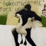 Cropped_68_jason_griffin_im_so_fuct_up