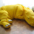 Cropped_68_rhinoceros01
