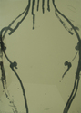 Proportional_167_000e320480