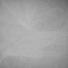 Cropped_68_41693