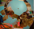 Proportional_68_bai