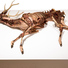 Cropped_68_581