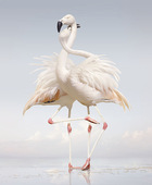 Proportional_227_large-sj-104