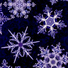 Cropped_68_nadl001