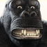 Cropped_68_pk_15822_burke_img