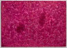 Proportional_227_image001