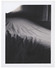 Proportional_68_ps_017