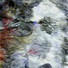 Cropped_68_kg2r
