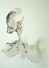 Proportional_68_mushroomiii