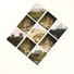 Cropped_68_polaroid2