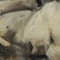 Cropped_68_dickinson_nude_figure_marie_lr