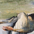 Cropped_68_a_matter_of_disagreement