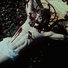 Cropped_68_wojnarowicz