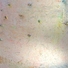 Cropped_68_boxer_-_memoireofmoment_-_web