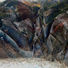 Cropped_68_schatz_glacier-5