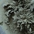Cropped_68_screen_shot_2011-12-05_at_4.23.12_pm