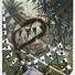 Cropped_68_pwackers_aleadingquestion_40x36_2011