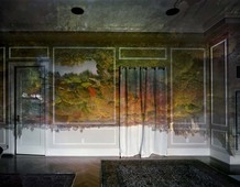 Proportional_227_84e7abfbb6