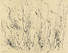 Proportional_68_450