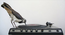 Proportional_227_jeroen_diepenmaat