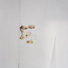 Cropped_68_15slug_fish_spines