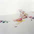 Cropped_68_08greasyredflat_lr