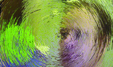 Proportional_227_mirror2