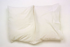 Proportional_227_leor-grady-untitled-pillow