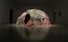 Proportional_68_horisaki_takashi_05
