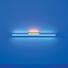 Cropped_68_flavin
