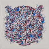 Proportional_227_rowe