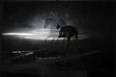 Proportional_227_horsey