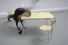 Proportional_68_maurizio-cattelan-5495_1