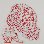 Proportional_227_bowdoin_kaa_20by20inches_lores