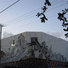 Cropped_68_wynwood