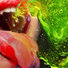 Cropped_68_chewing_green