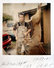 Proportional_68_5466a1be1c