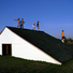 Cropped_68_101