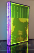 Proportional_227_basquiat