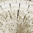 Cropped_68_the_descent_detail_2