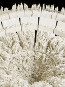 Proportional_227_the_descent_detail_2