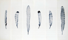 Proportional_227_lewismaukfeathergroupunit400