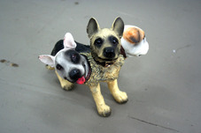 Proportional_227_rosenblumseltzer_cerberus