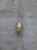 Proportional_227_nv_gold_pekingduck_2011