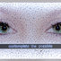 Cropped_68_brunner