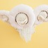 Cropped_68_jellyfish