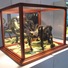 Cropped_68_tarantula