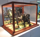 Proportional_167_tarantula