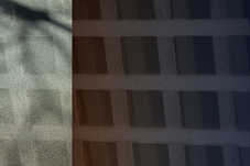Proportional_227_mcdaris